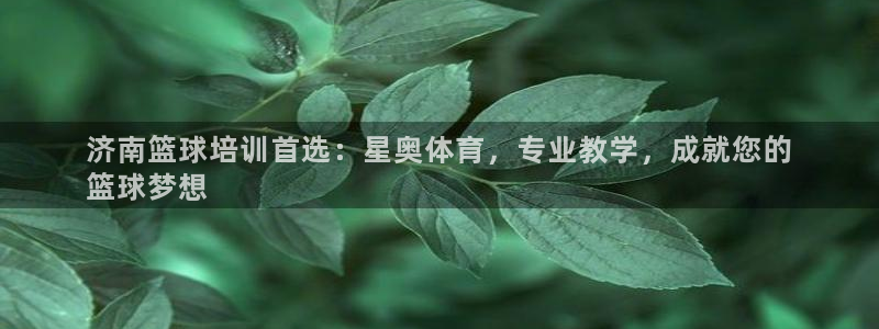 焦点娱乐游戏攻略大全