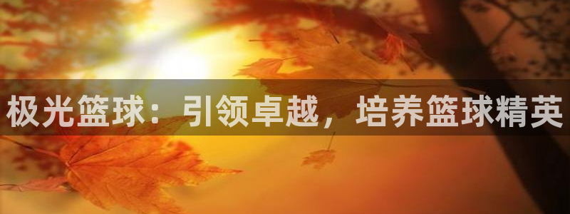焦点娱乐公司的发展历程简述：极光篮球：引领卓越，培养