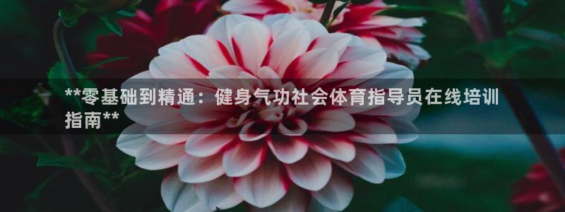 焦点娱乐游戏攻略视频：**零基础到精通：健身气功社会