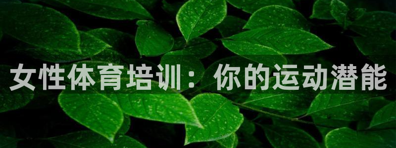 焦点娱乐公司的发展历程简述：女性体育培训：你的运动潜