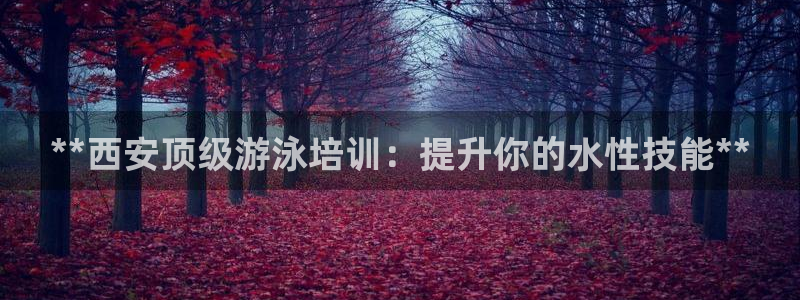 焦点娱乐公司：**西安顶级游泳培训：提升你的水性技能