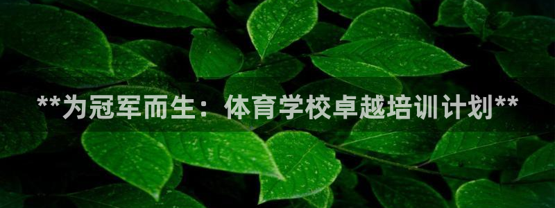 焦点娱乐平台是正规的吗安全吗知乎：**为冠军而生：体