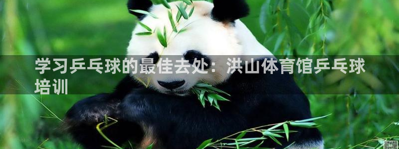 焦点娱乐官网下载安装
