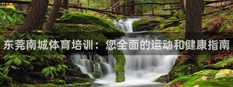 焦点娱乐佳 411O31 焦点：东莞南城体育培训：您