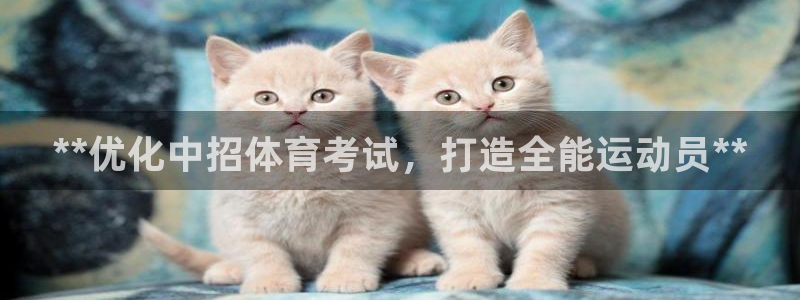 焦点娱乐是拉菲公司的吗：**优化中招体育考试，打造全