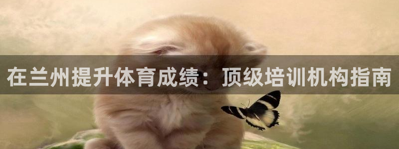 焦点娱乐官方网站下载手机版安装：在兰州提升体育成绩：
