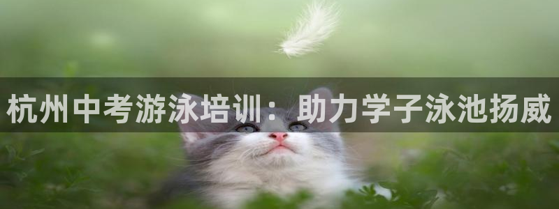 焦点娱乐拉菲10：杭州中考游泳培训：助力学子泳池扬威