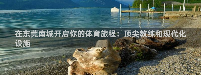 焦点娱乐传媒有限公司招聘电话：在东莞南城开启你的体育