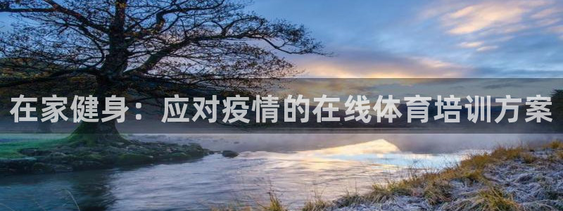 焦点娱乐公司的发展历程是什么