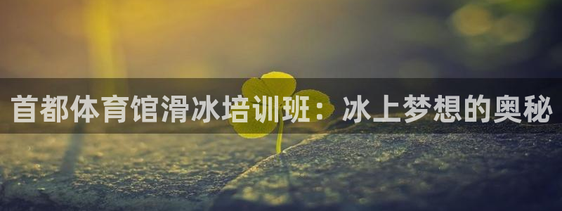 焦点娱乐财神：首都体育馆滑冰培训班：冰上梦想的奥秘