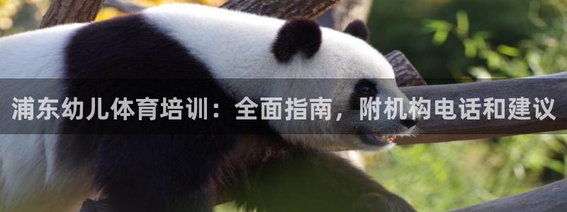 焦点娱乐传媒有限公司是干嘛的：浦东幼儿体育培训：全面