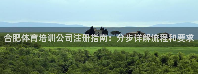 焦点娱乐总代理在哪：合肥体育培训公司注册指南：分步详
