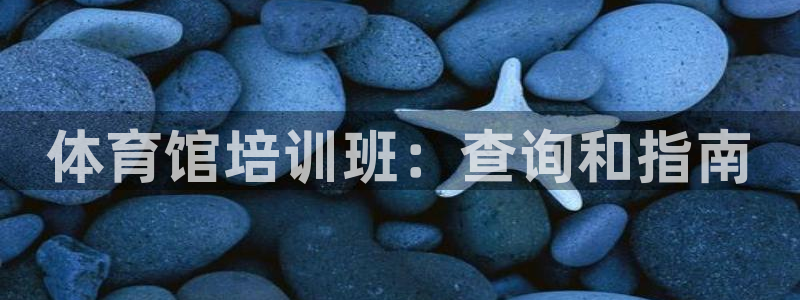焦点娱乐官网下载苹果：体育馆培训班：查询和指南