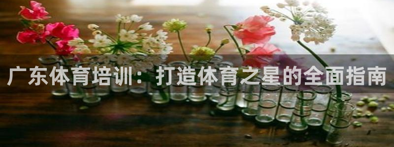 焦点娱乐跨服：广东体育培训：打造体育之星的全面指南
