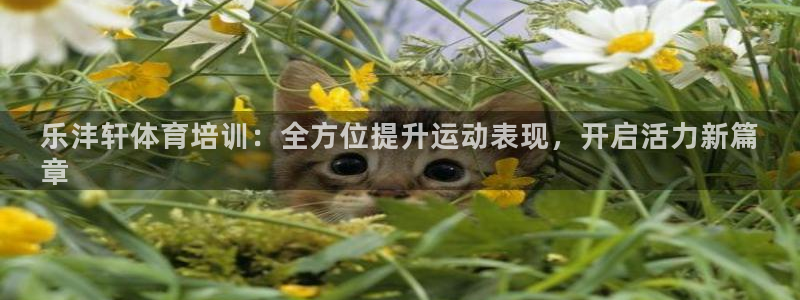 焦点娱乐有限公司：乐沣轩体育培训：全方位提升运动表现