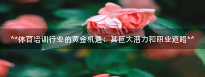 焦点娱乐平台客服电话号码是多少：**体育培训行业的黄