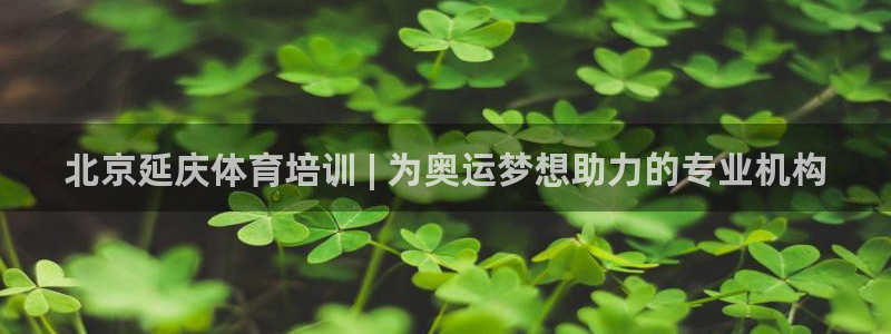 焦点娱乐下载手机版最新版：北京延庆体育培训 | 为奥
