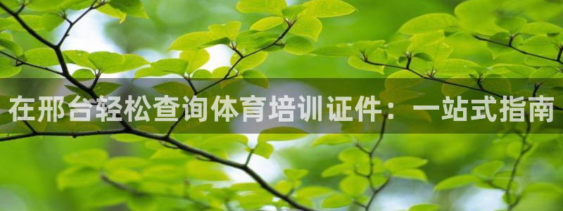 焦点娱乐星白鹿罗云熙在线磕cp：在邢台轻松查询体育培