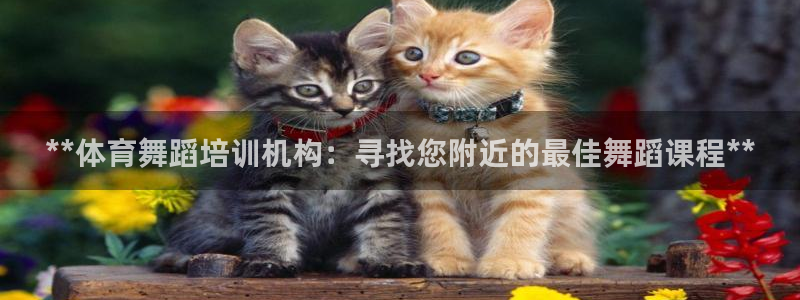 焦点娱乐传媒有限公司招聘信息：**体育舞蹈培训机构：