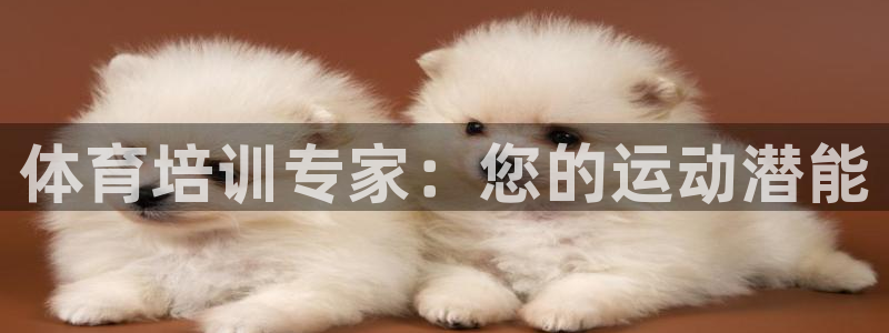 焦点娱乐全国总冠军：体育培训专家：您的运动潜能