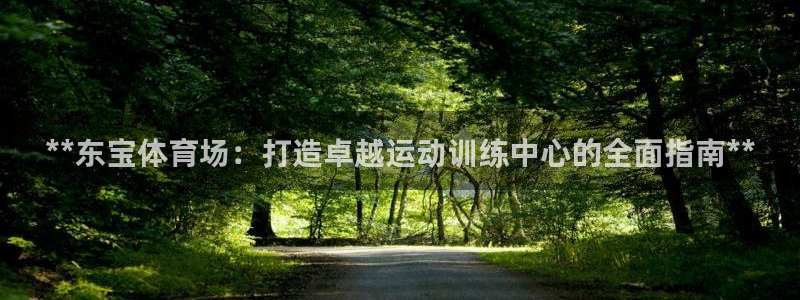 焦点娱乐平台登录不了怎么办