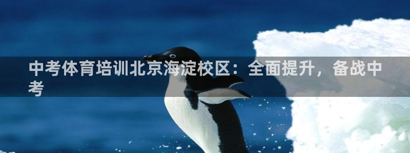 焦点娱乐星的视频