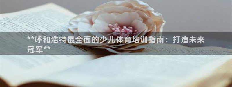 焦点娱乐平台怎么样知乎