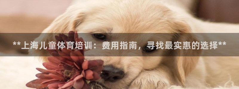 焦点娱乐平台客服热线号码