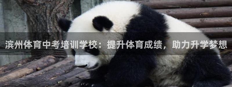 焦点娱乐官方网站下载安装苹果