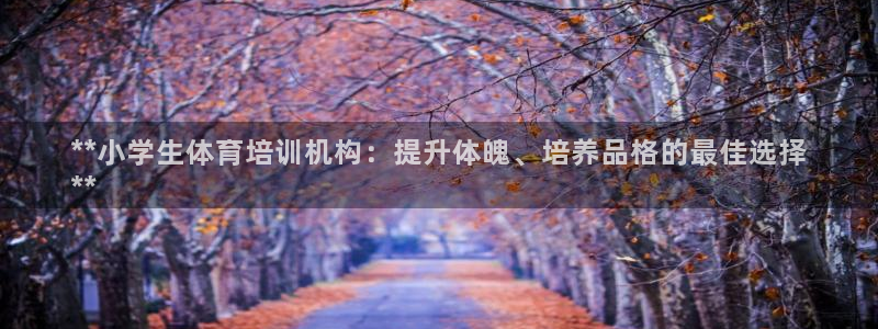 焦点娱乐官方网站下载手机版