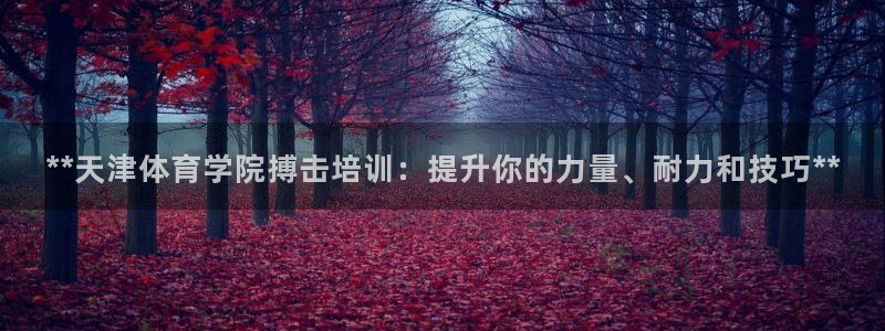 焦点娱乐带你走遍