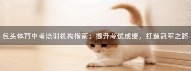 焦点娱乐下载手机版安装