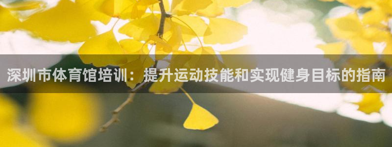 焦点娱乐有限公司