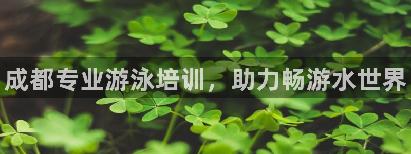 焦点娱乐有限公司怎么样：成都专业游泳培训，助力畅游水