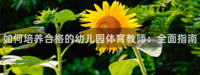 焦点娱乐传媒