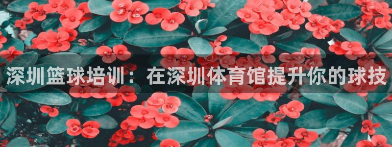 焦点娱乐官方网站首页