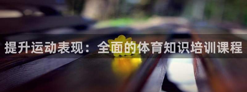 焦点娱乐平台怎么样赚钱：提升运动表现：全面的体育知识