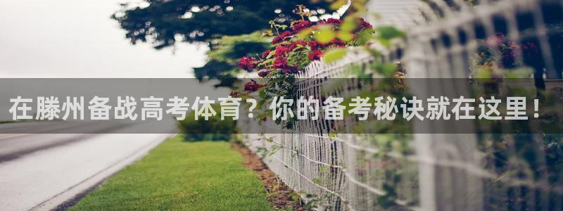 焦点娱乐app下载官网最新版本：在滕州备战高考体育？