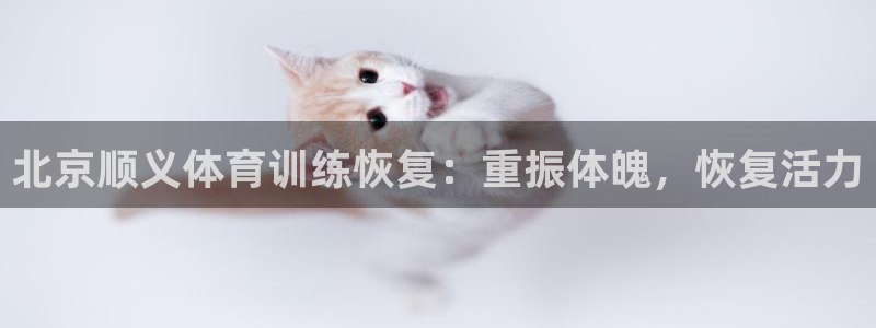焦点娱乐股东有哪些：北京顺义体育训练恢复：重振体魄，
