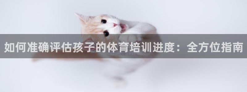 焦点娱乐无法提现怎么办：如何准确评估孩子的体育培训进