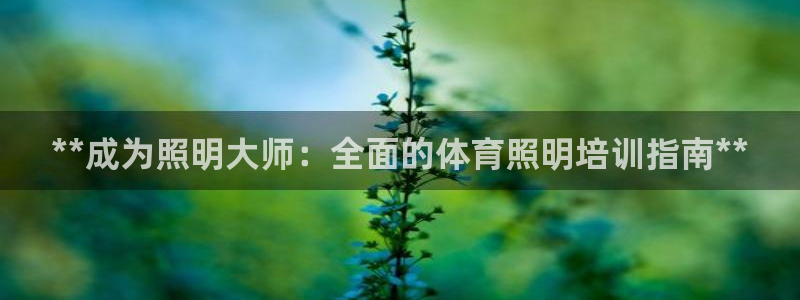 焦点娱乐拉菲11月11日：**成为照明大师：全面的体