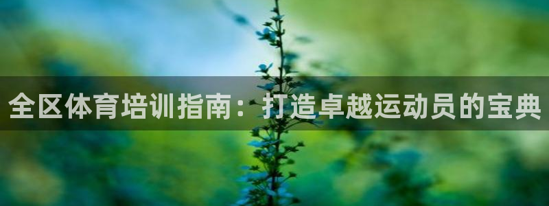 焦点娱乐不出款：全区体育培训指南：打造卓越运动员的宝