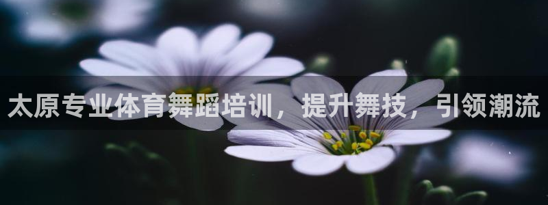 焦点娱乐官网下载：太原专业体育舞蹈培训，提升舞技，引