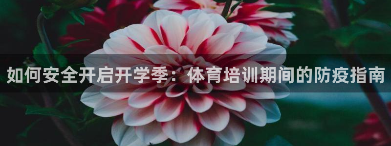 焦点娱乐全国总冠军都有谁：如何安全开启开学季：体育培