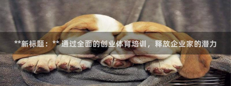 焦点娱乐平台账号在哪注册：**新标题：** 通过全面