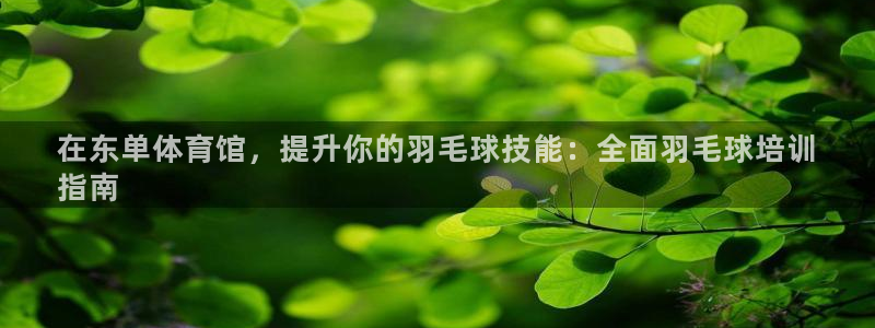 焦点娱乐app下载官网最新版苹果：在东单体育馆，提升