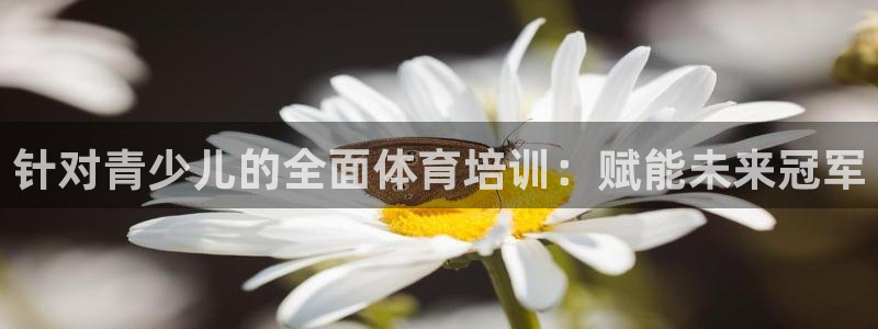 焦点娱乐是拉菲公司的吗是真的吗：针对青少儿的全面体育