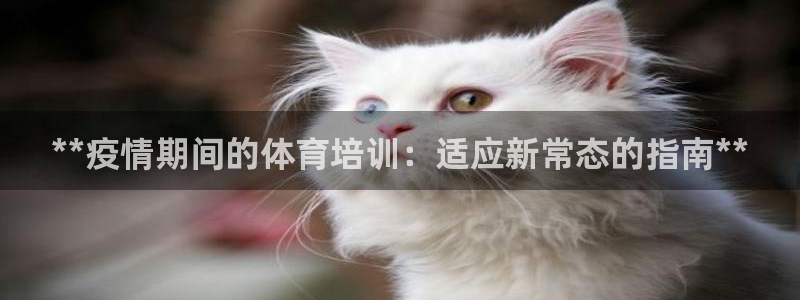 焦点娱乐官方网站首页入口：**疫情期间的体育培训：适