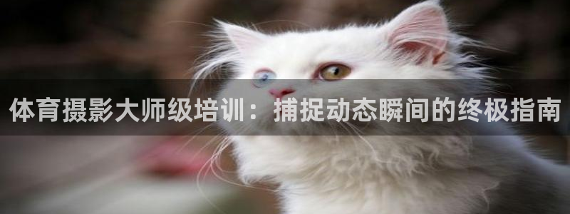 焦点娱乐是拉菲公司的吗：体育摄影大师级培训：捕捉动态