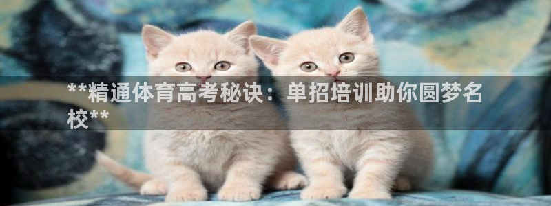 焦点娱乐平台客服电话号码查询：**精通体育高考秘诀：